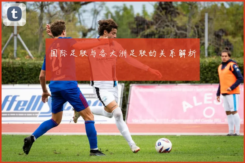 国际足联与各大洲足联的关系解析