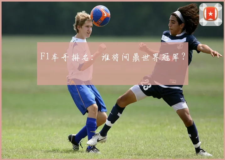 F1车手排名：谁将问鼎世界冠军？